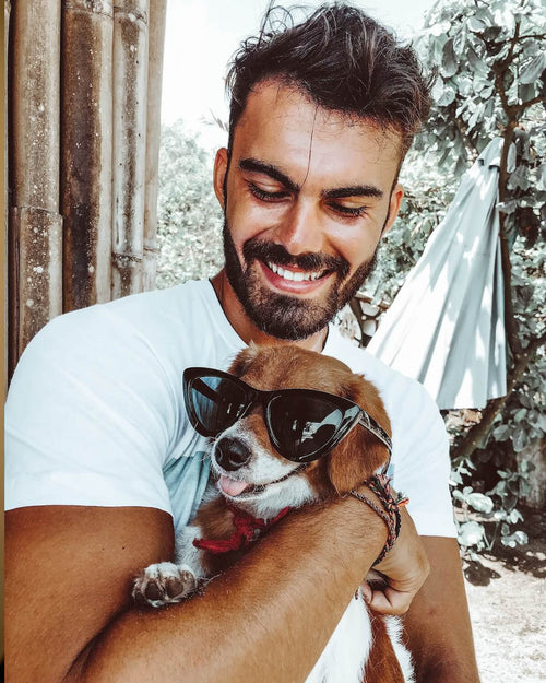 Herren Dogs