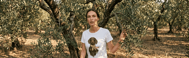 Damen Champagne Collection Banner Panorama